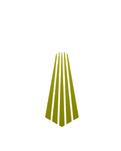 logo narapian - 1 crop